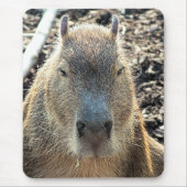CAPYBARA MUISMAT (Voorkant)
