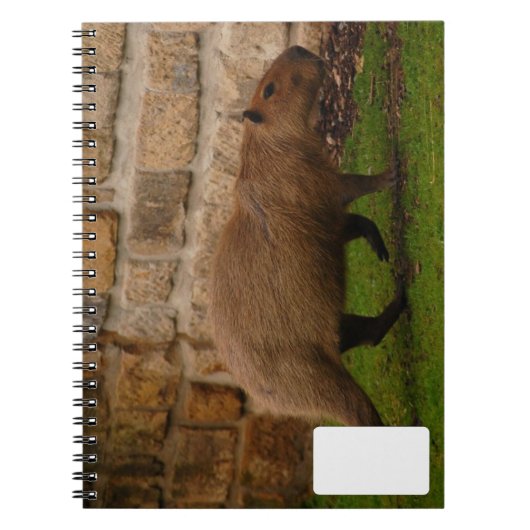 capybara notitieboek (Voorkant)