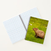 Capybara Notitieboek (Binnen)