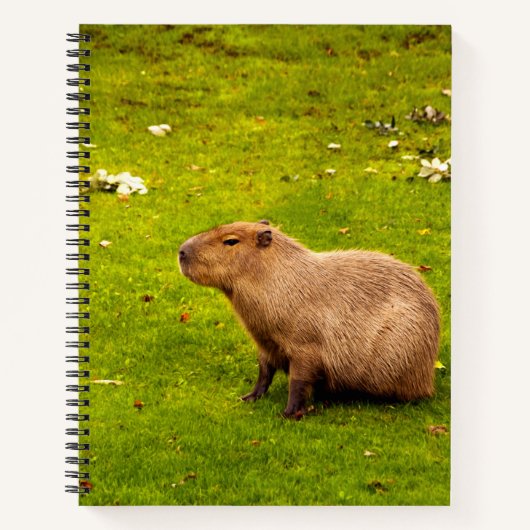 Capybara Notitieboek (Voorkant)