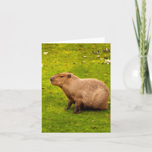 Capybara Notitiekaartje