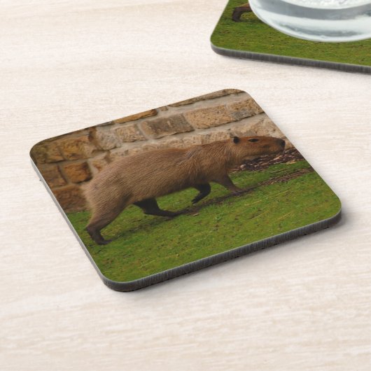 capybara onderzetter (Linkerzijde)