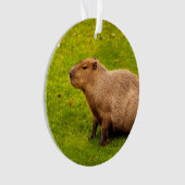 Capybara Ornament (voorkant)