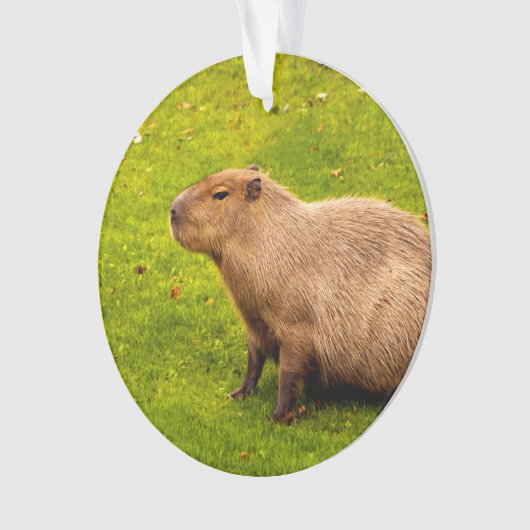Capybara Ornament (voorkant)