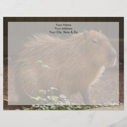 Capybara Persoonlijk Briefhoofd (Voorkant)