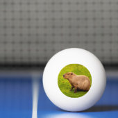 Capybara Pingpongballen (Net)