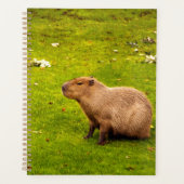 Capybara Planner (Voorkant)