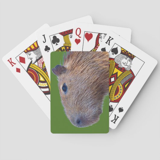 Capybara Pokerkaarten (Achterkant)