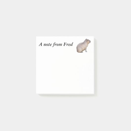 Capybara Post-it® Notes (Voorkant)