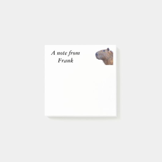 Capybara Post-it® Notes (Voorkant)
