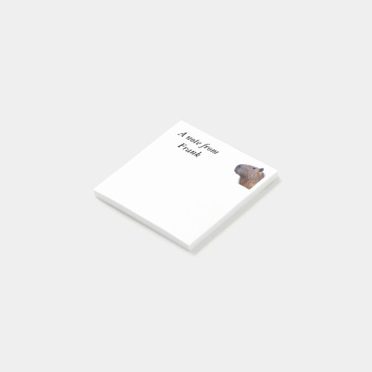 Capybara Post-it® Notes (Schuin)