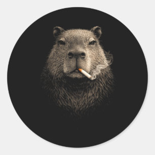 Capybara rokende meme grappige retro vintage esthe ronde sticker