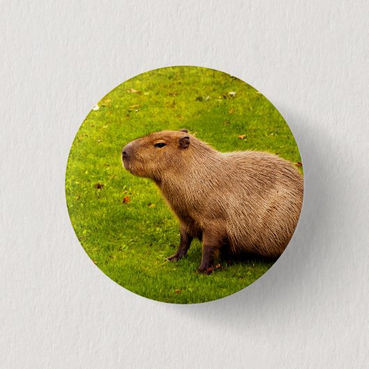 Capybara Ronde Button 3,2 Cm (Voorkant)