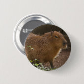 Capybara Ronde Button 5,7 Cm (Voorkant /achterkant)