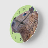 Capybara Ronde Klok (Hoek)