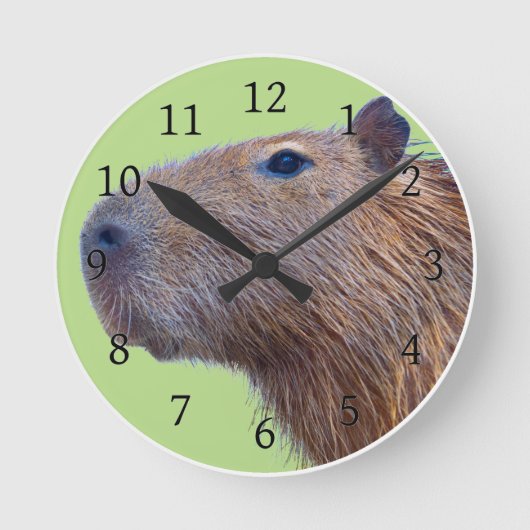 Capybara Ronde Klok (Voorkant)