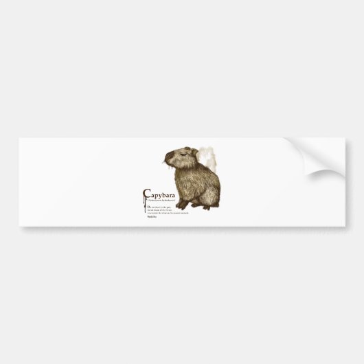 capybara - sepia bumpersticker (Voorkant)