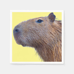 Capybara Servet