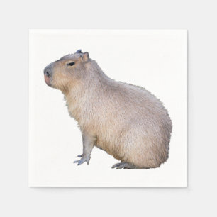 Capybara Servet