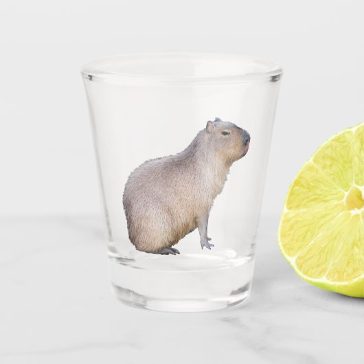 Capybara Shot Glas (Voorkant)