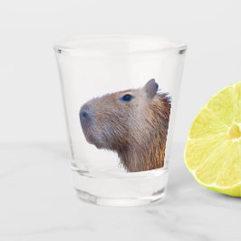 Capybara Shot Glas