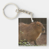 Capybara Sleutelhanger (Voorkant)