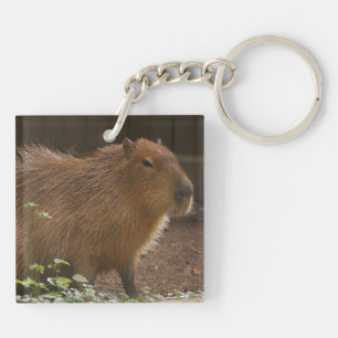 Capybara Sleutelhanger