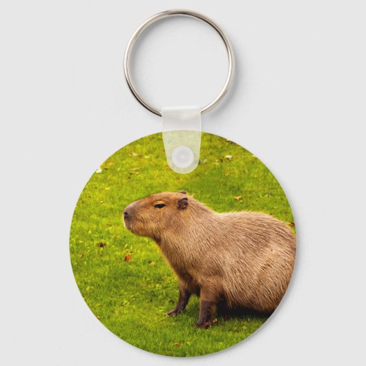 Capybara Sleutelhanger (Voorkant)