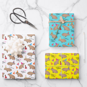 Capybara Specialized Birthday Hand-Illustrated Inpakpapier Vel