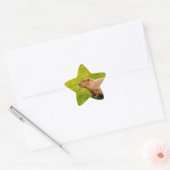 Capybara Ster Sticker (Envelop)