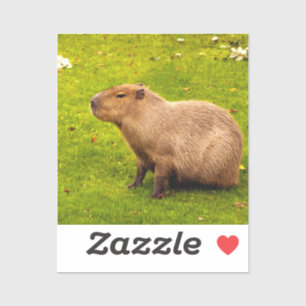 Capybara Sticker