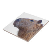 Capybara Tegeltje (Zijkant)