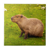 Capybara Tegeltje (Voorkant)