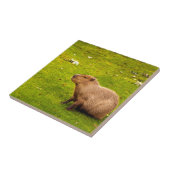 Capybara Tegeltje (Zijkant)