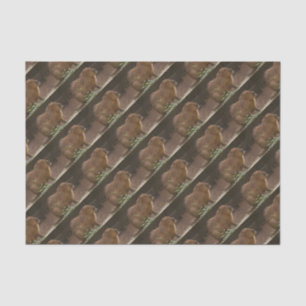 Capybara Tissuepapier