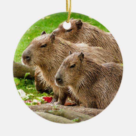 Capybara Trio Keramisch Ornament (Voorkant)