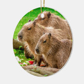 Capybara Trio Keramisch Ornament (Links)
