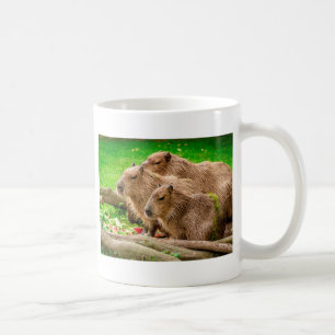 Capybara Trio Koffiemok