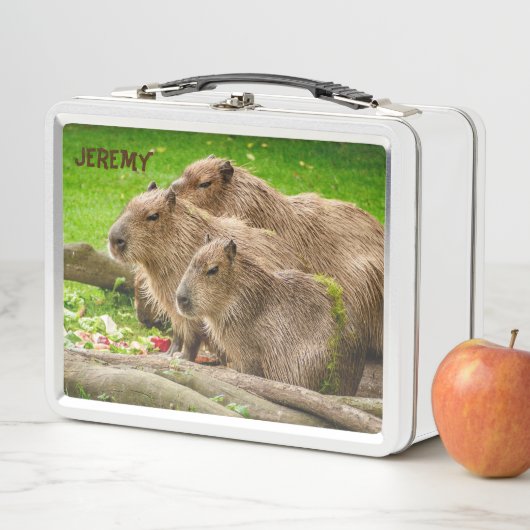 Capybara Trio Metal Lunch Box (In situ)