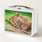 Capybara Trio Metal Lunch Box (Voorkant)