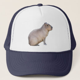 Capybara Trucker Pet