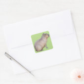 Capybara Vierkante Sticker (Envelop)
