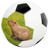 Capybara Voetbal (Drie kwart)