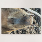 CAPYBARA WILDE DIEREN LEGPUZZEL (Horizontaal)