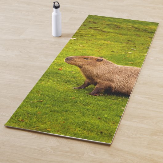 Capybara Yogamat (In situ)
