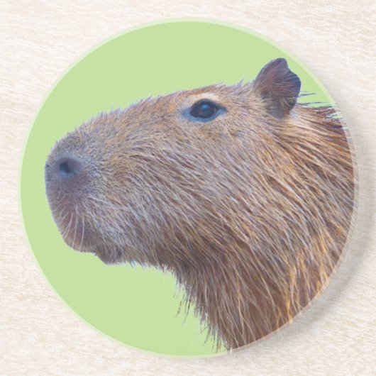 Capybara Zandsteen Onderzetter (Voorkant)