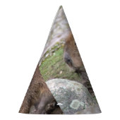 Capybarahs Feesthoedjes (Links)