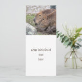 Capybarahs Kaart (Staand voorkant)