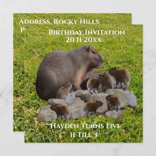 Capybaras De Mère Et De Bébé, Invitation D'Anniver (Devant / Derrière)