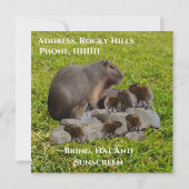 Capybaras De Mère Et De Bébé, Invitation D'Anniver (Dos)